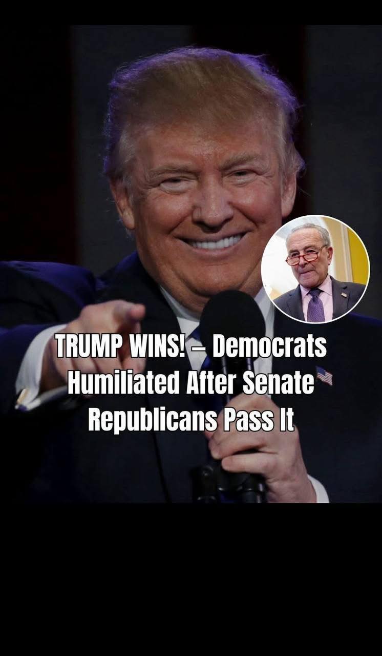 Senate Republicans Confirm More Than 100 Trump Nominees