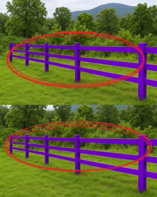Spotted a Purple Fence? Here’s What It Represents