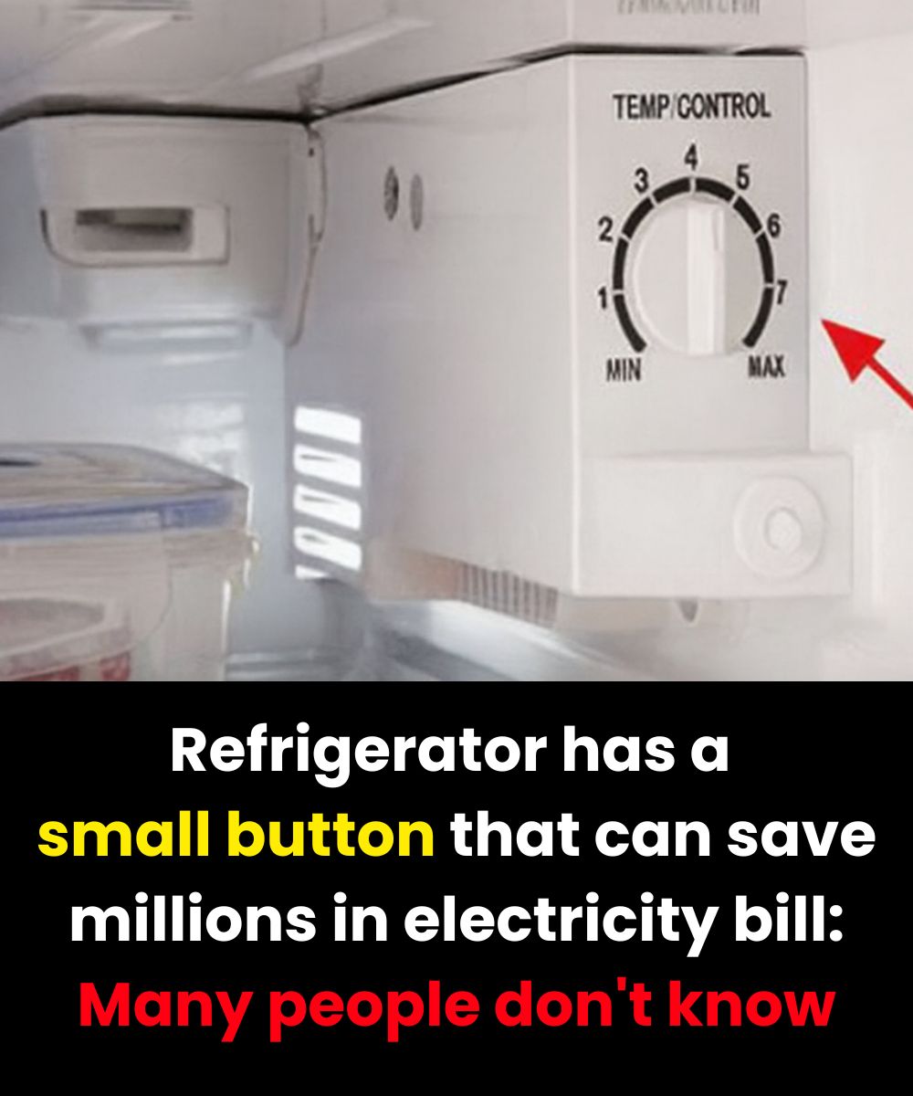 When This Button Breaks: What You’ll Have to Face