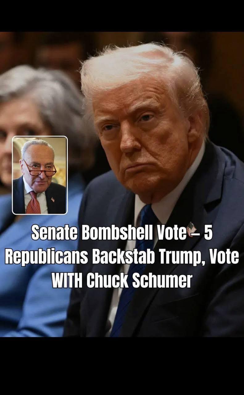 GOP Senators Join Democrats to Overturn Trump’s Tariffs on Brazil