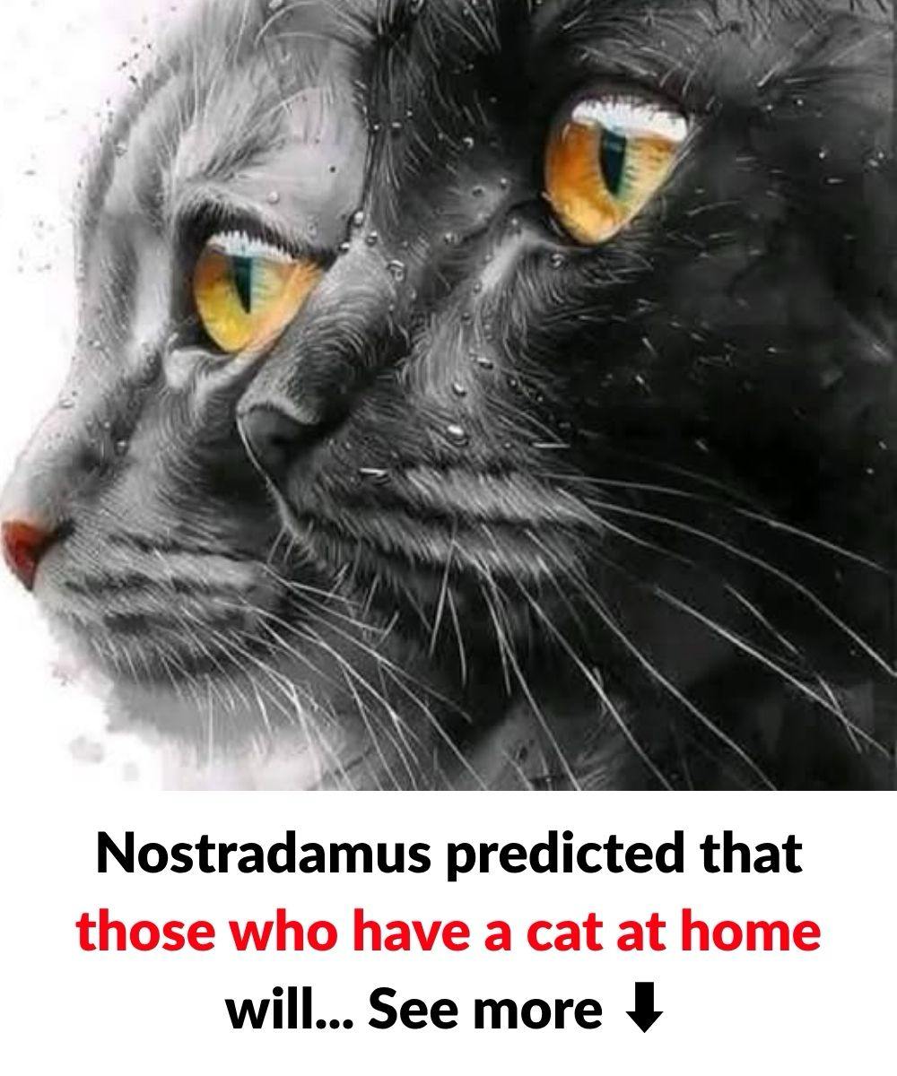 The Surprising Spiritual Meaning of Your Cat: Did Nostradamus Leave Us a Clue?