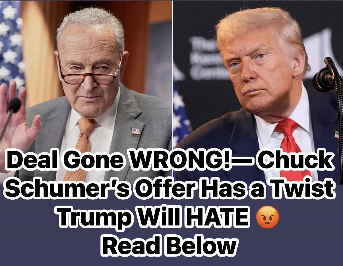 Schumer Offers ‘Deal’ To Reopen Government But It Won’t Fly With GOP