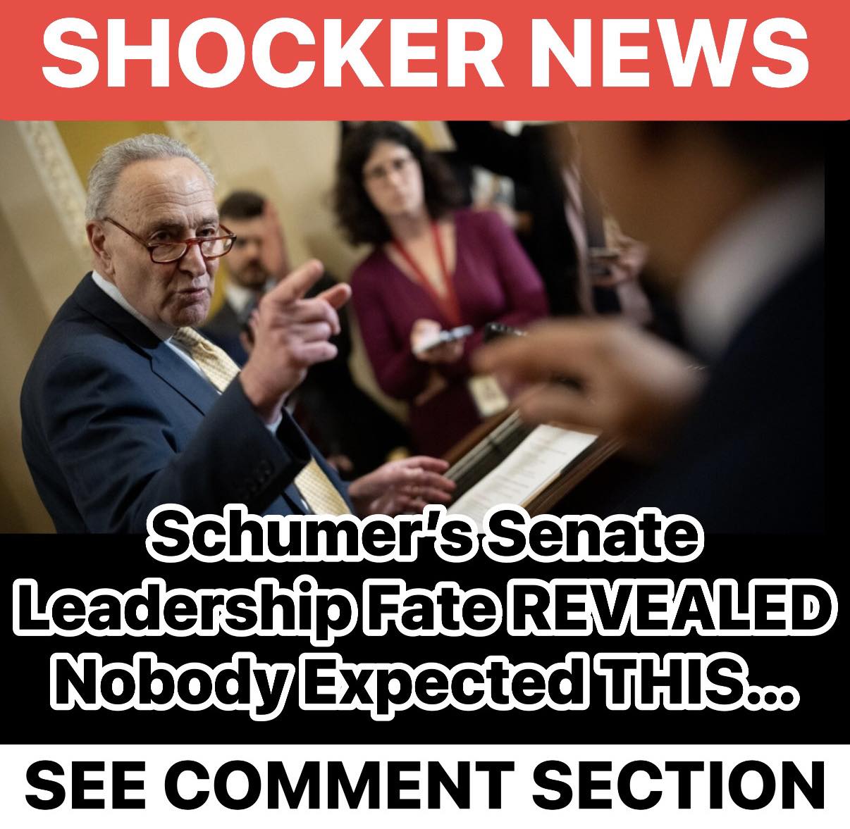 Schumer Re-Elected As Senate Democratic Leader