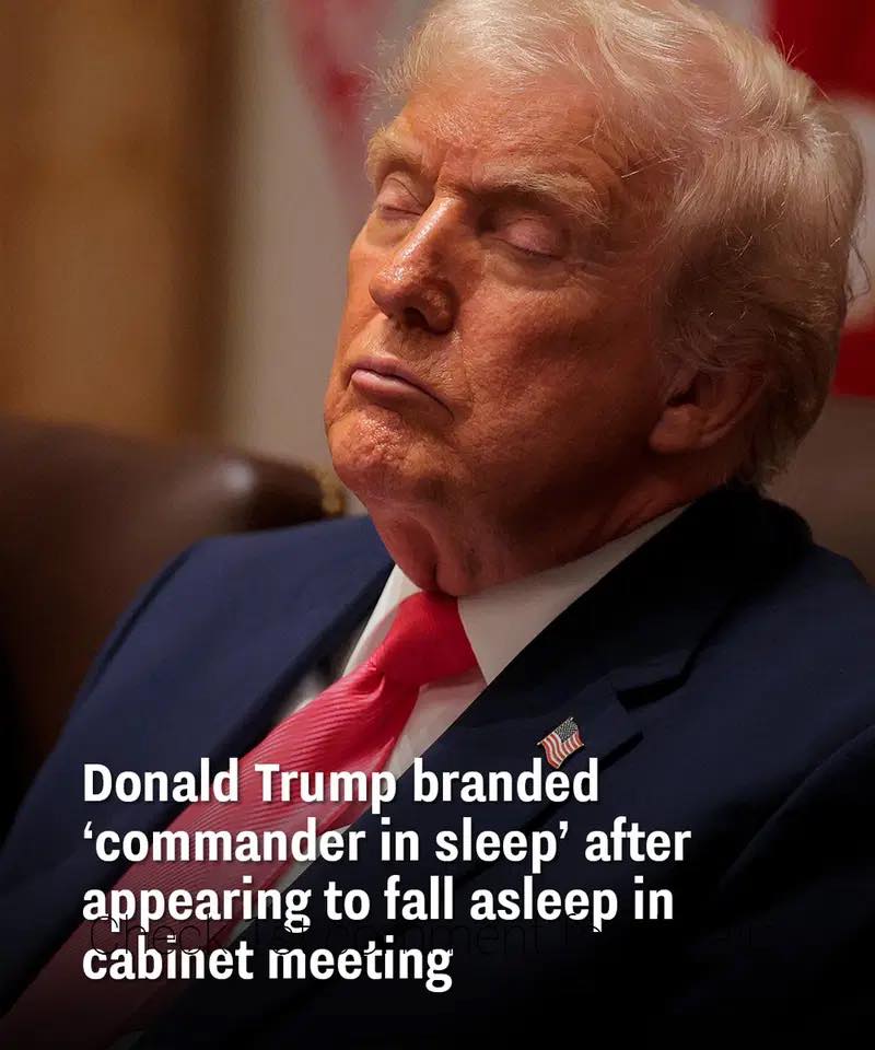 Donald Trump branded ‘commander in sleep’ after appearing to fall asleep in cabinet meeting