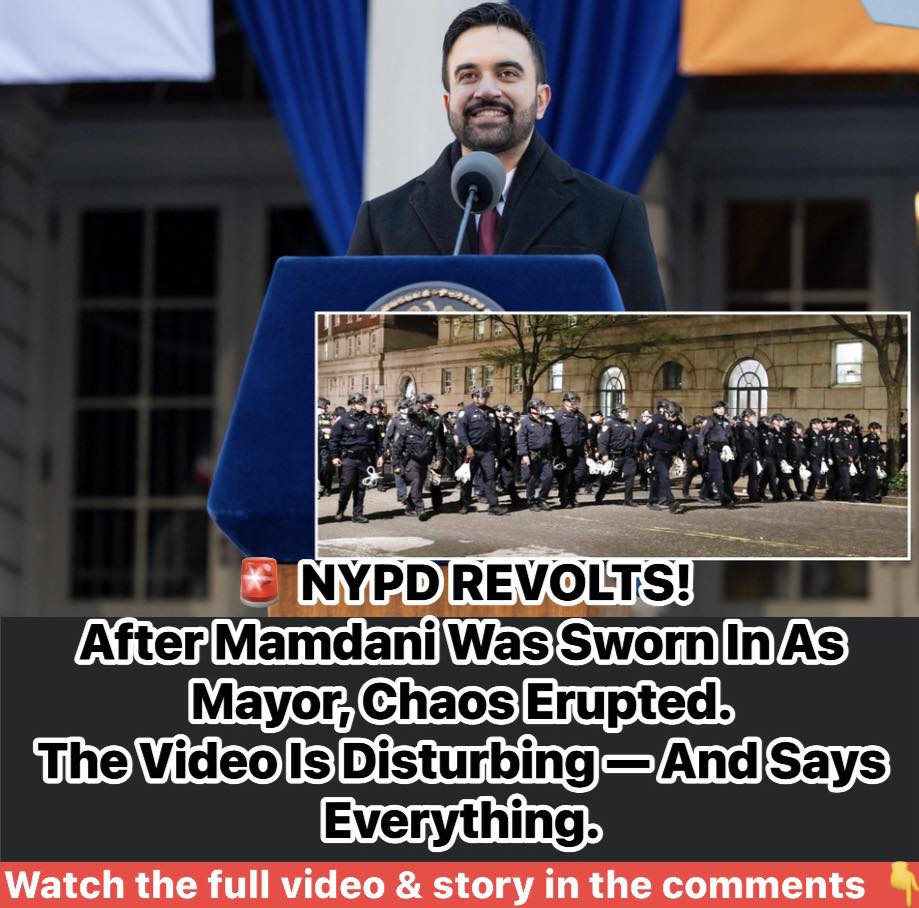 Midnight Box Beside Power