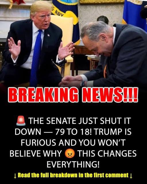 SENATE JUST SHOCKED TRUMP 79-18! YOU WON’T BELIEVE WHY!