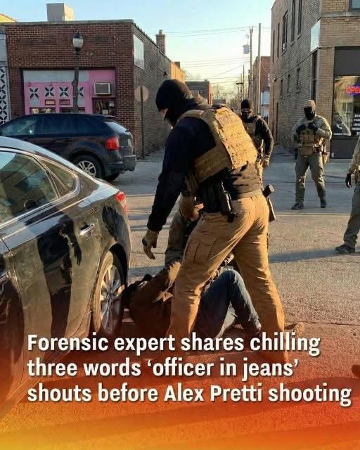 Expert Review Highlights Key Communication Moments Before Minneapolis Law Enforcement