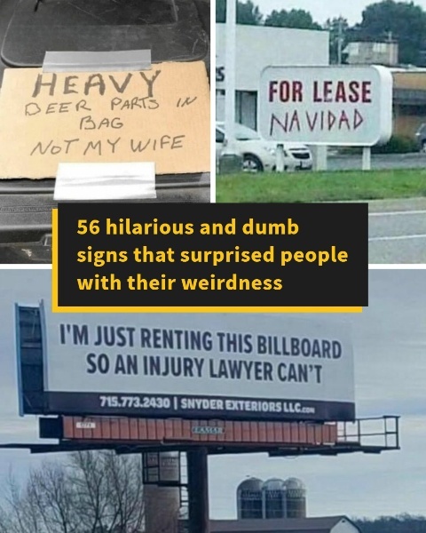 The Lost Kitchen Secret Found in Almost Every Old Home