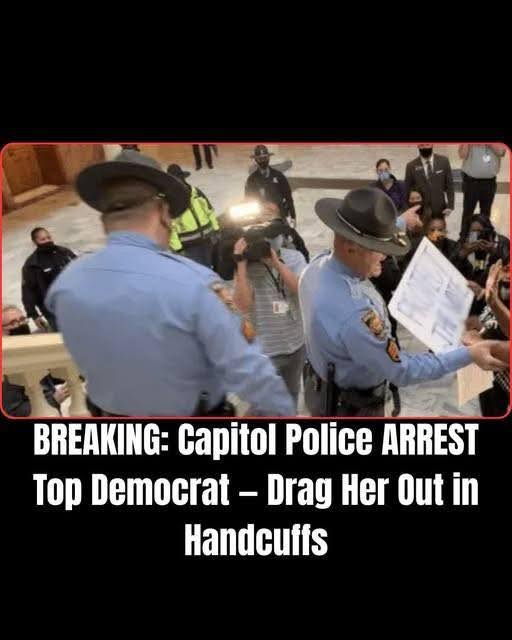 Georgia Democratic Activist Arrested on Felony Theft Charge After Capitol Incident