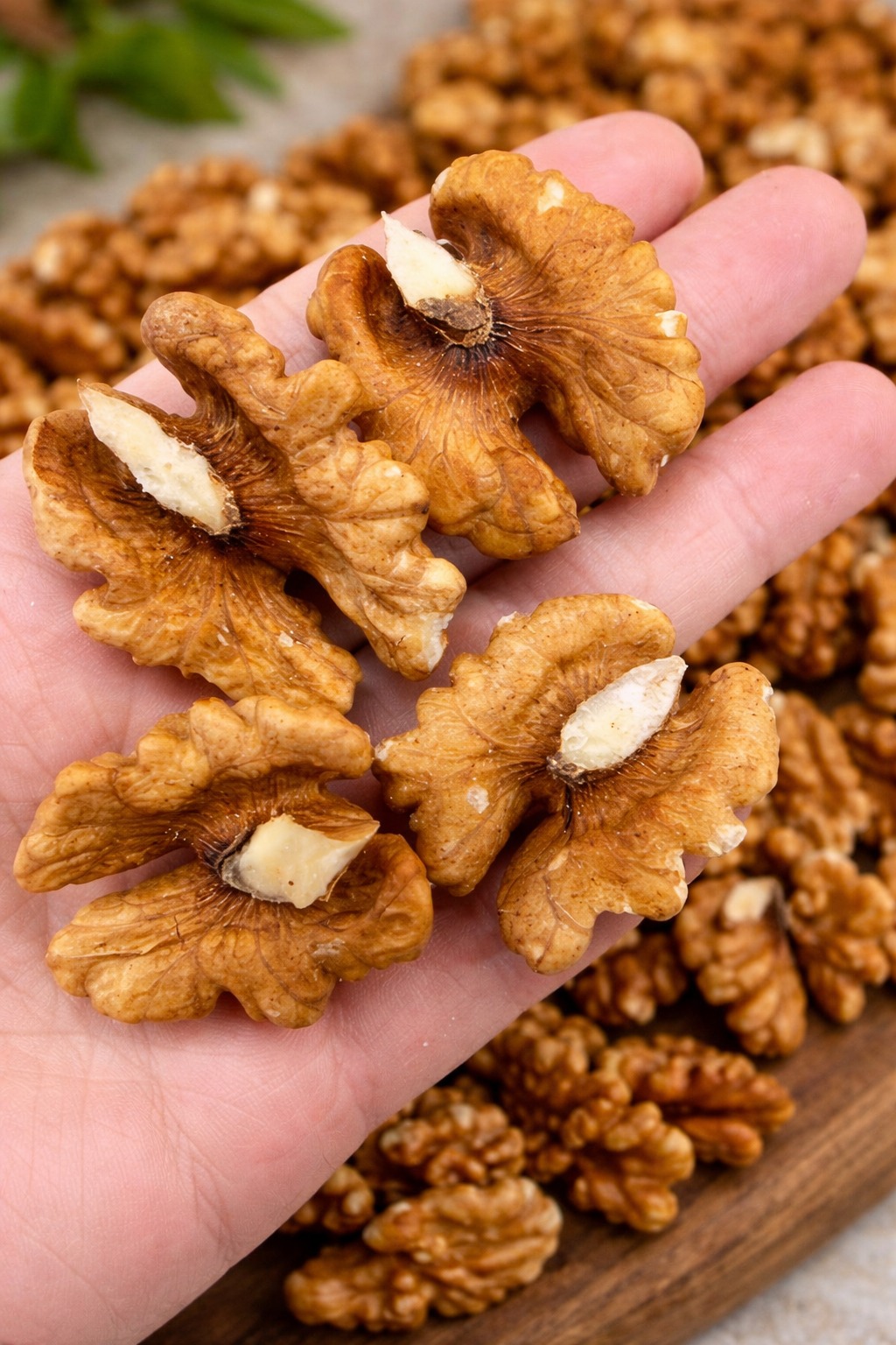 Walnuts Offer Steady, Well-Rounded Nutritional Support